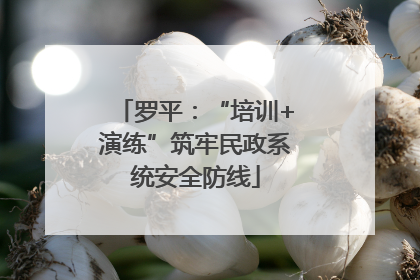罗平：“培训+演练”筑牢民政系统安全防线