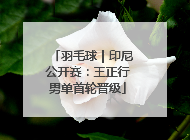 羽毛球｜印尼公开赛：王正行男单首轮晋级