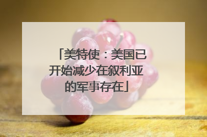 美特使：美国已开始减少在叙利亚的军事存在