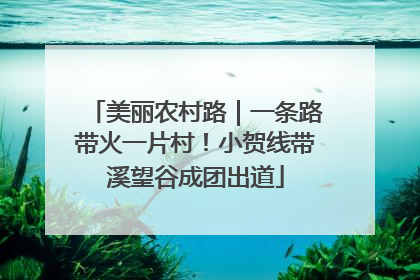 美丽农村路｜一条路带火一片村！小贺线带溪望谷成团出道
