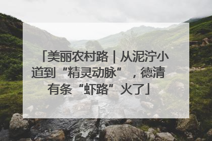 美丽农村路｜从泥泞小道到“精灵动脉”，德清有条“虾路”火了