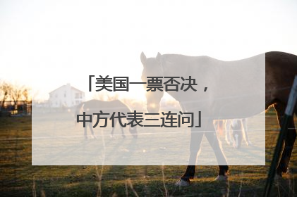 美国一票否决，中方代表三连问