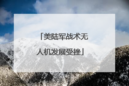 美陆军战术无人机发展受挫