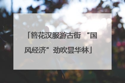簪花汉服游古街 “国风经济”劲吹昙华林