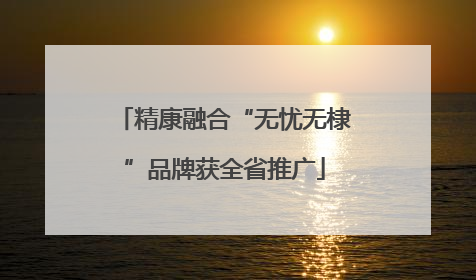 精康融合“无忧无棣”品牌获全省推广