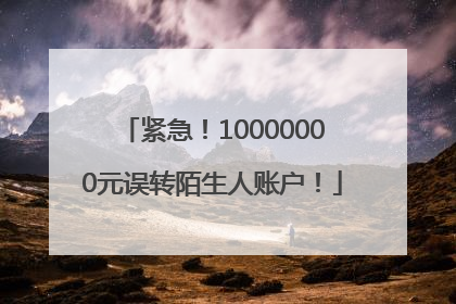 紧急！10000000元误转陌生人账户！