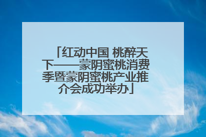 红动中国 桃醉天下——蒙阴蜜桃消费季暨蒙阴蜜桃产业推介会成功举办