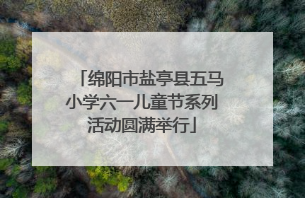 绵阳市盐亭县五马小学六一儿童节系列活动圆满举行