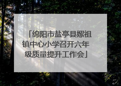 绵阳市盐亭县嫘祖镇中心小学召开六年级质量提升工作会
