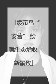 绶带鸟“安营” 绘就生态增收新景致