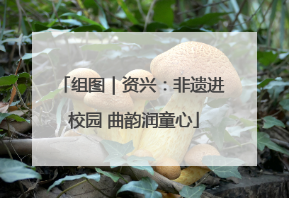 组图｜资兴：非遗进校园 曲韵润童心
