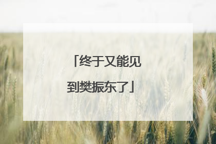 终于又能见到樊振东了