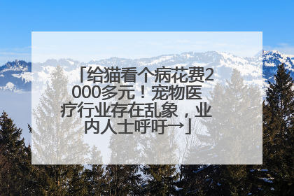 给猫看个病花费2000多元！宠物医疗行业存在乱象，业内人士呼吁→