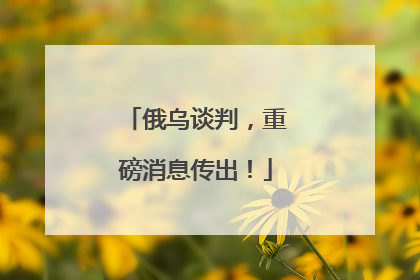 俄乌谈判，重磅消息传出！