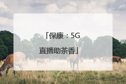 保康：5G直播助茶香