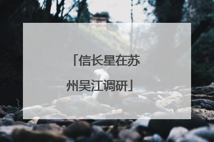 信长星在苏州吴江调研