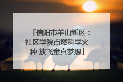 信阳市羊山新区：社区学院点燃科学火种 放飞童真梦想