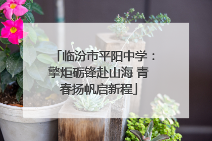 临汾市平阳中学：擎炬砺锋赴山海 青春扬帆启新程