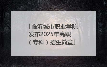 临沂城市职业学院发布2025年高职（专科）招生简章