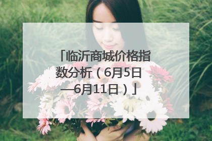 临沂商城价格指数分析（6月5日—6月11日）