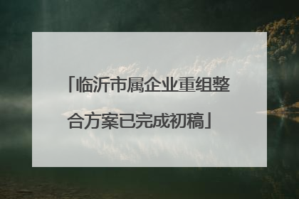 临沂市属企业重组整合方案已完成初稿