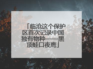 临沧这个保护区首次记录中国独有物种——黑顶蛙口夜鹰