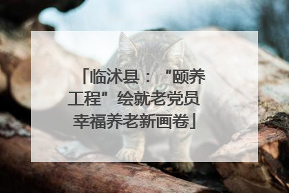临沭县：“颐养工程”绘就老党员幸福养老新画卷