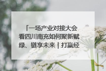 一场产业对接大会 看四川南充如何聚新赋绿、链享未来｜打赢经济发展翻身仗
