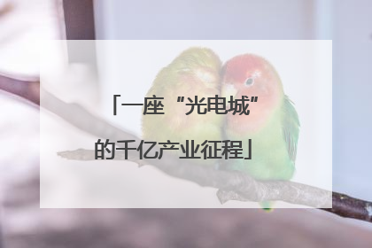 一座“光电城”的千亿产业征程