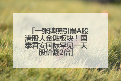 一张牌照引爆A股港股大金融板块！国泰君安国际罕见一天股价翻2倍