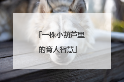 一株小葫芦里的育人智慧