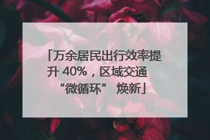 万余居民出行效率提升 40%，区域交通 “微循环” 焕新