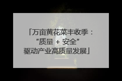万亩黄花菜丰收季：“质量 + 安全” 驱动产业高质量发展