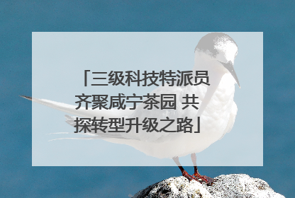 三级科技特派员齐聚咸宁茶园 共探转型升级之路