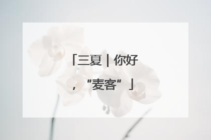 三夏｜你好，“麦客”