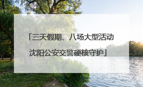 三天假期、八场大型活动 沈阳公安交警硬核守护