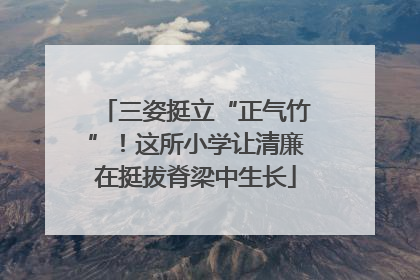 三姿挺立“正气竹”！这所小学让清廉在挺拔脊梁中生长