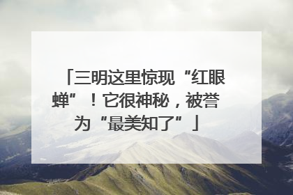 三明这里惊现“红眼蝉”！它很神秘，被誉为“最美知了”