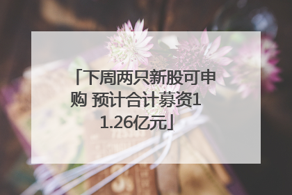 下周两只新股可申购 预计合计募资11.26亿元