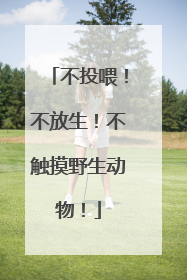 不投喂！不放生！不触摸野生动物！