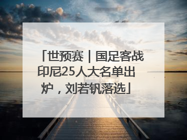 世预赛｜国足客战印尼25人大名单出炉，刘若钒落选