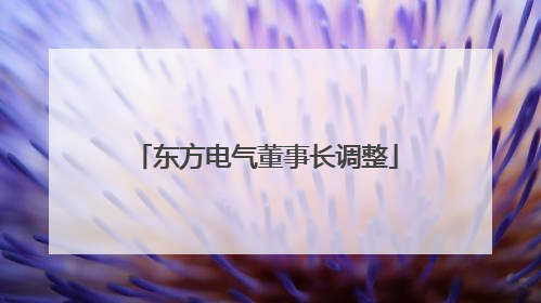 东方电气董事长调整