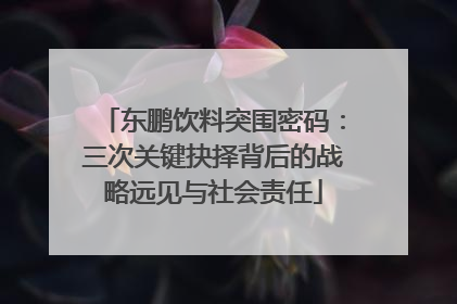 东鹏饮料突围密码：三次关键抉择背后的战略远见与社会责任