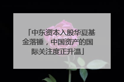 中东资本入股华夏基金落锤，中国资产的国际关注度正升温