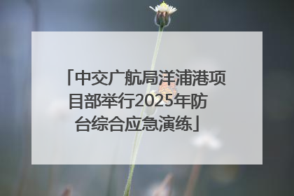 中交广航局洋浦港项目部举行2025年防台综合应急演练