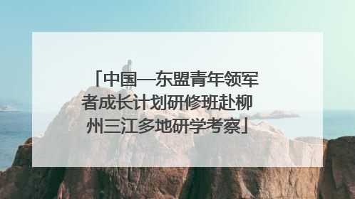 中国—东盟青年领军者成长计划研修班赴柳州三江多地研学考察