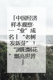 中国经济样本观察·一“业”成名丨“老树发新芽”！“浏阳烟花”燃亮世界