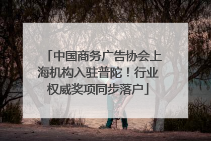 中国商务广告协会上海机构入驻普陀！行业权威奖项同步落户