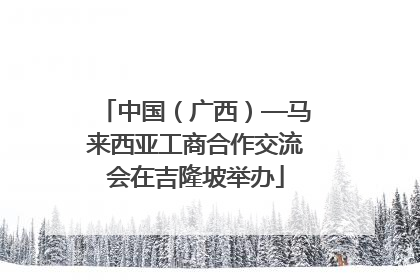 中国（广西）—马来西亚工商合作交流会在吉隆坡举办