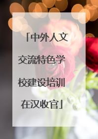 中外人文交流特色学校建设培训在汉收官